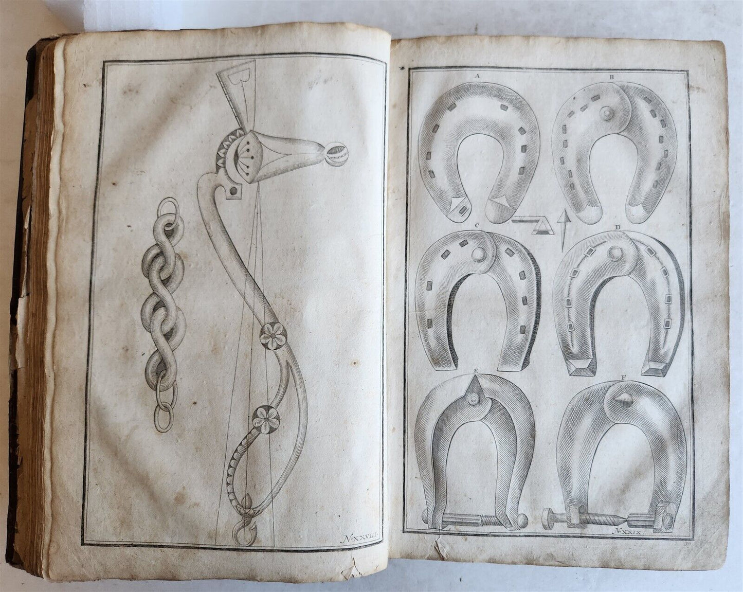 1702 Oeconomus prudens ILLUSTRATED 2 FOLIO VOLUMES antique in GERMAN
