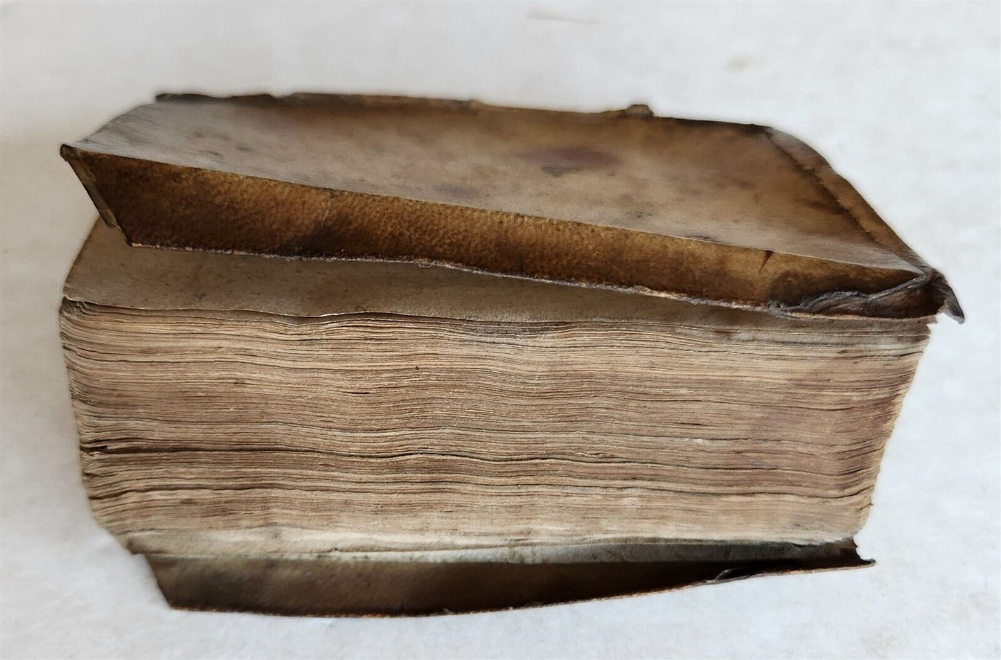 1574 BIBLE of POOR Nicolas de Hanappes antique Virtutum vitiorum Biblia pauperum
