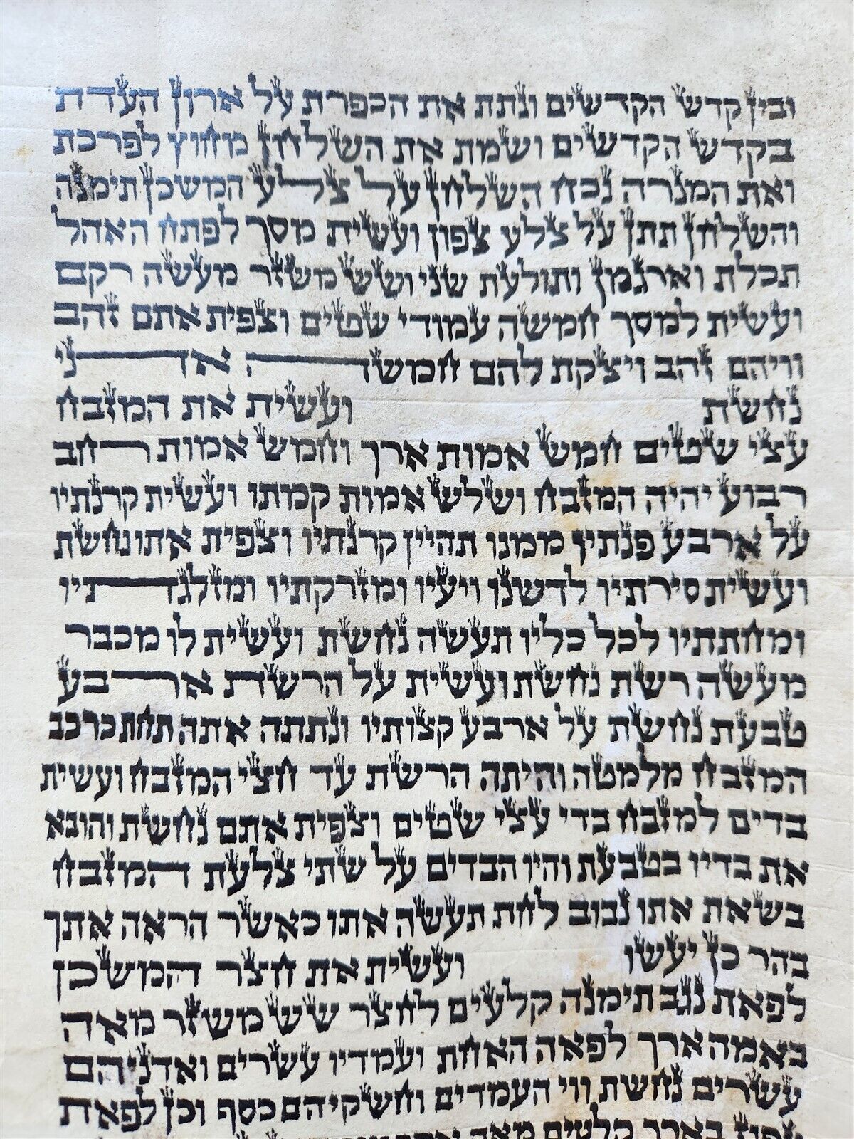 TORAH SCROLL FRAGMENT MANUSCRIPT on VELLUM antique BIBLE EXODUS 26:33-29:4