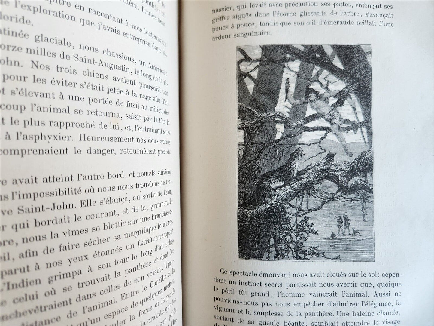 1884 HUNTING in NORTH AMERICA CHASSES dans AMERIQUE du NORD antique ILLUSTRATED