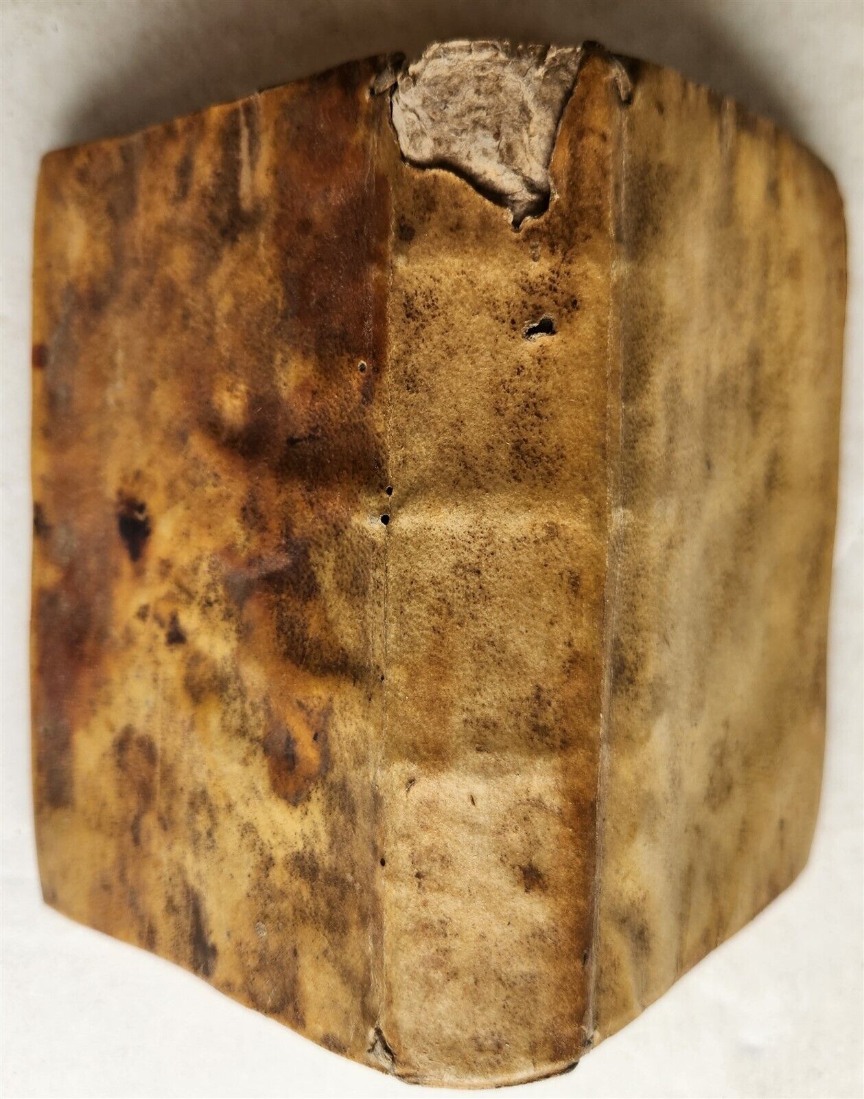 1611 MANUSCRIPT on PHYSICS antique 214 leaves VELLUM BINDING