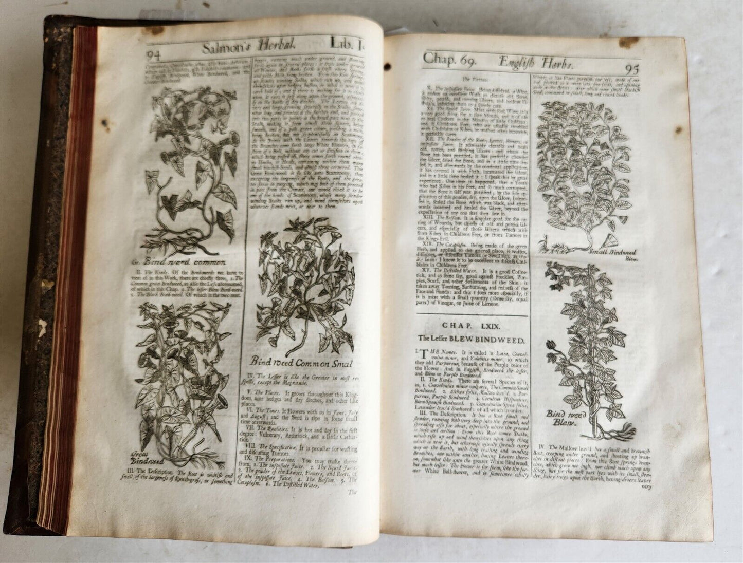 1710 BOTANOLOGIA ENGLISH HERBAL antique ILLUSTRATED MASSIVE FOLIO