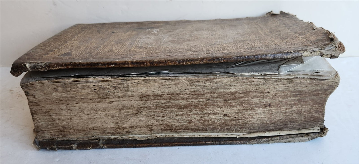 1744 THEATRUM BOTANICUM ILLUSTRATED GERMAN HERBAL antique PIGSKIN BOUND FOLIO