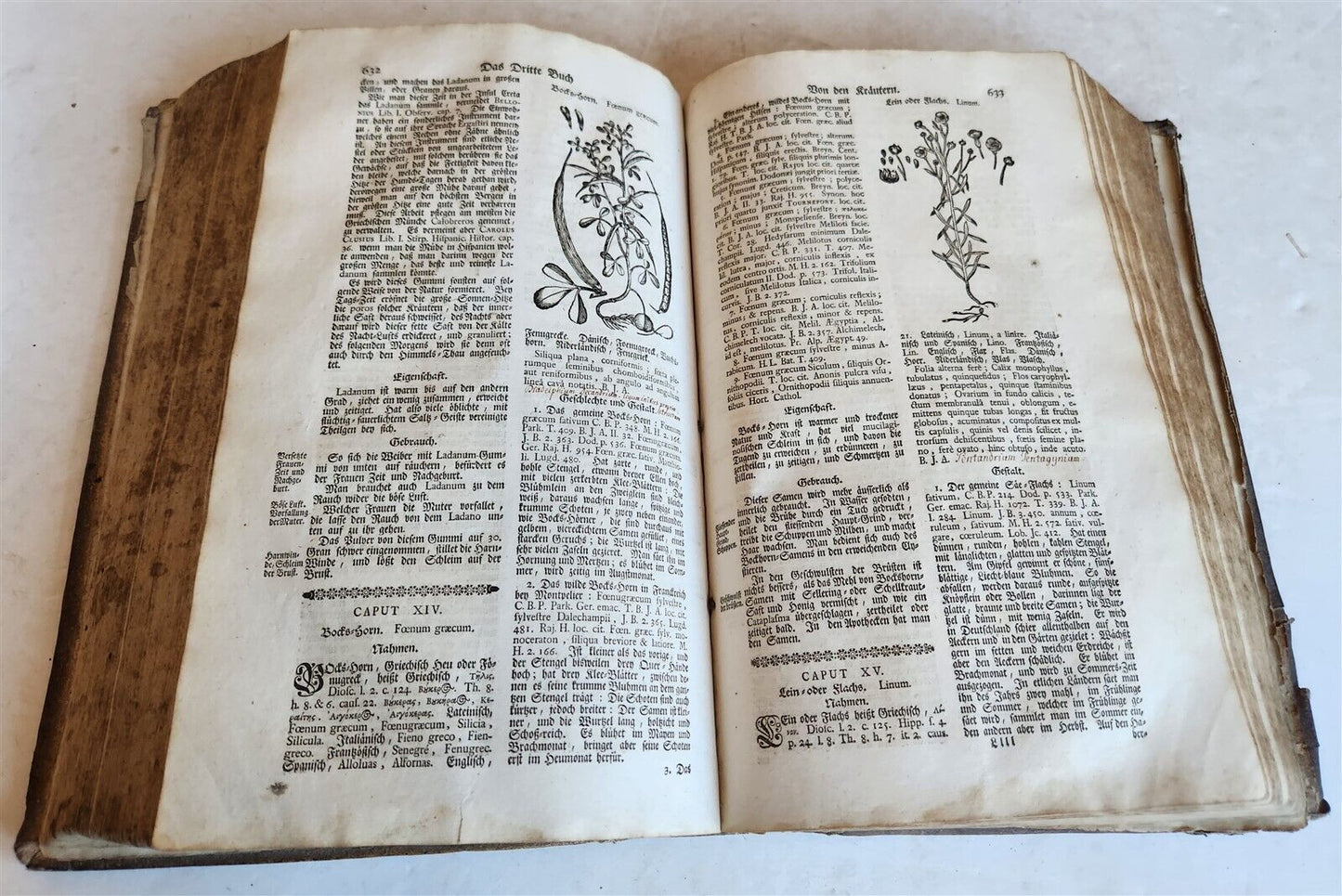 1744 THEATRUM BOTANICUM ILLUSTRATED GERMAN HERBAL antique PIGSKIN BOUND FOLIO