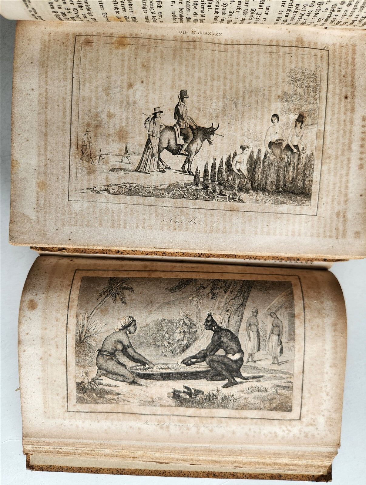 1838 TRAVELS to OCEANIA MALAYSIA POLYNESIA 3 VOLUMES antique ILLUSTRATED German