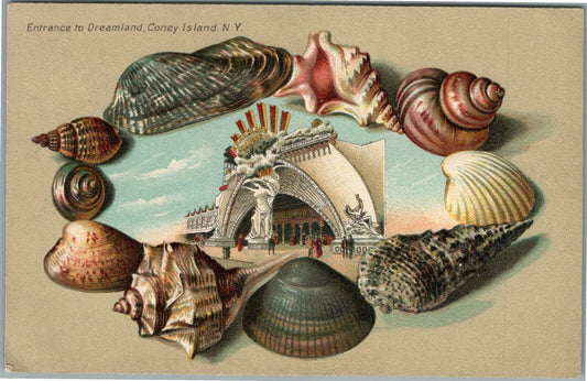 NEW YORK NY ENTRANCE TO DREAMLAND SHELL BORDERS ANTIQUE POSTCARD