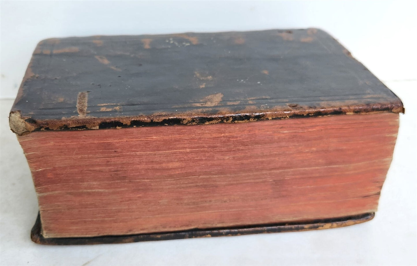 1563 BIBLE in LATIN antique ILLUSTRATED 16th century BIBLIA