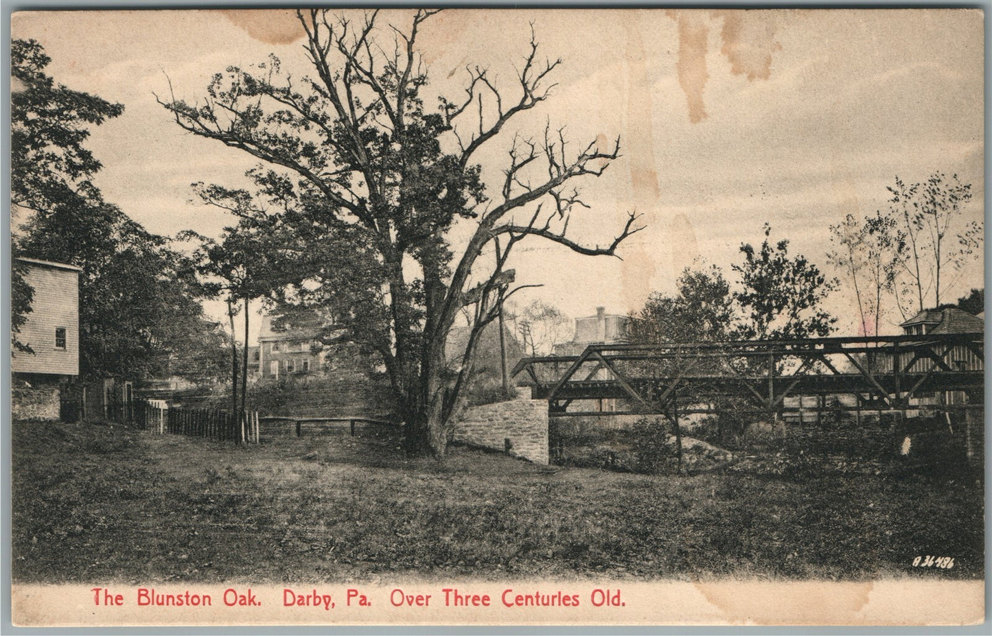 DARBY PA THE BLUNSTON OAK ANTIQUE POSTCARD
