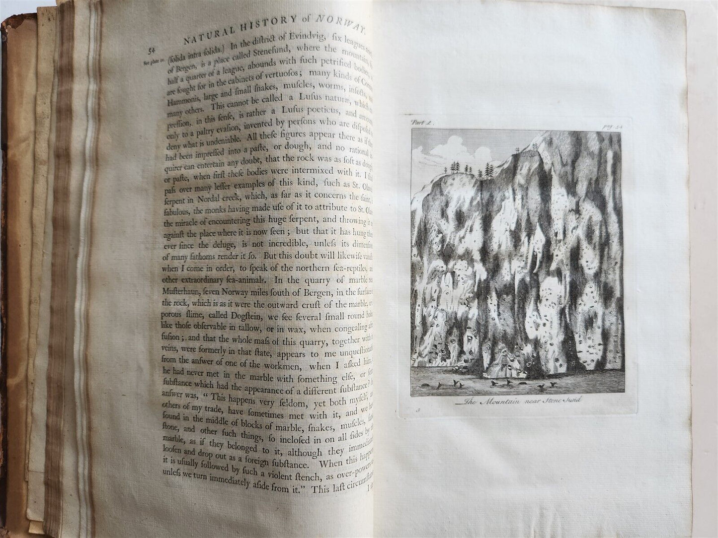 1755 NATURAL HISTORY of NORWAY ILLUSTRATED Pontoppidan antique FOLIO in ENGLISH