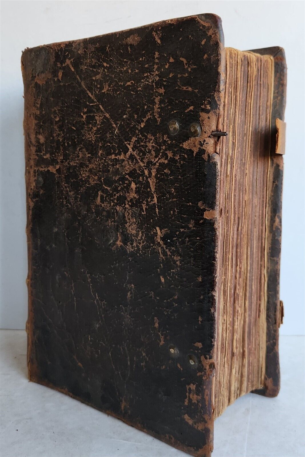1583 ILLUSTRATED POSTILLA antique 80 WOODCUTS CRANACH SCHOOL ARTIST