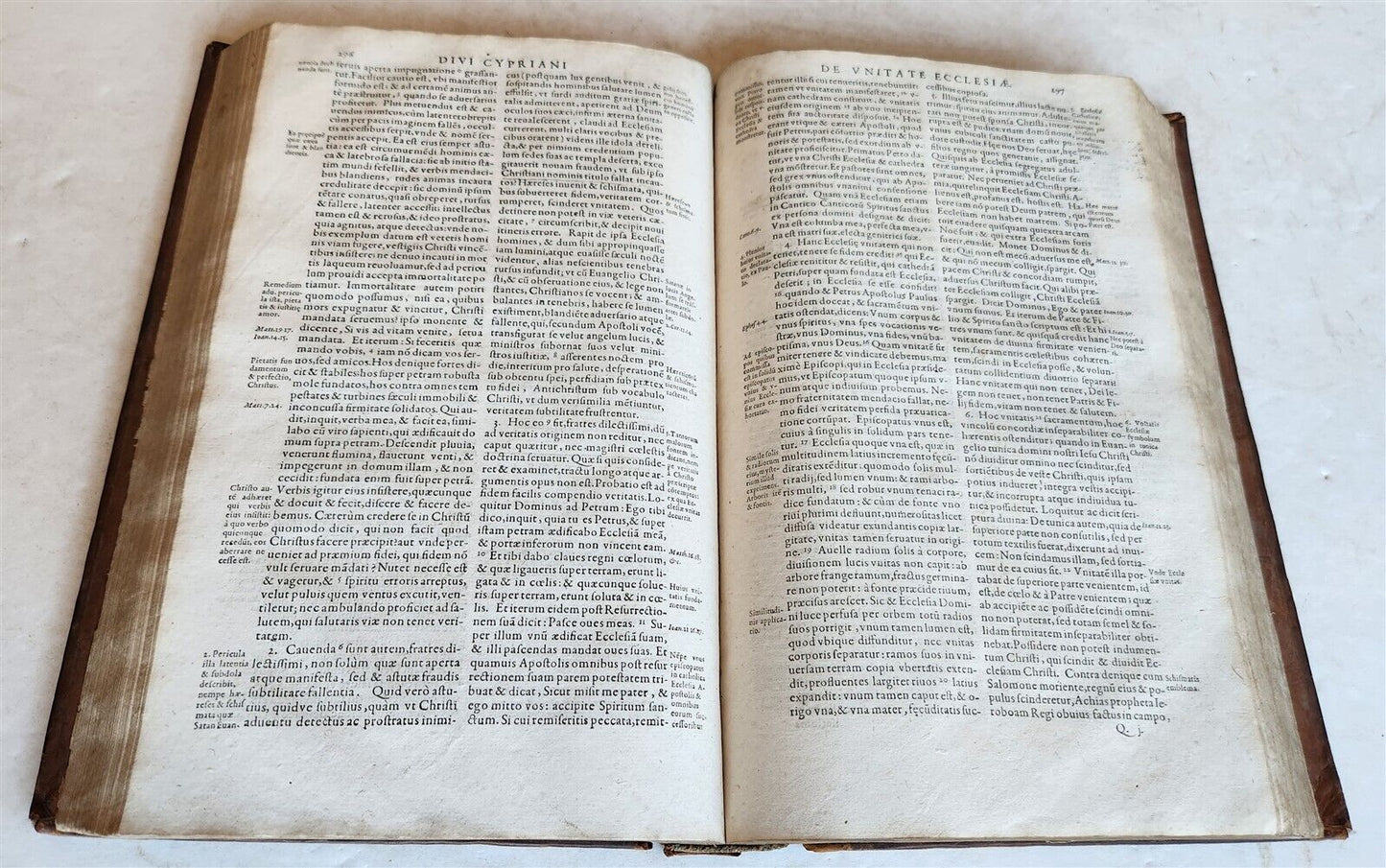 1593 Cypriani Carthaginiensis Episcopi OPERA antique 16th CENTURY FOLIO CYPRIAN
