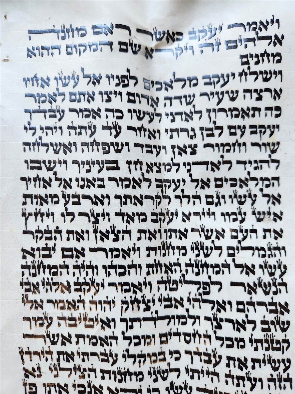 TORAH SCROLL FRAGMENT MANUSCRIPT on VELLUM antique BIBLE GENESIS 31:2-32:28