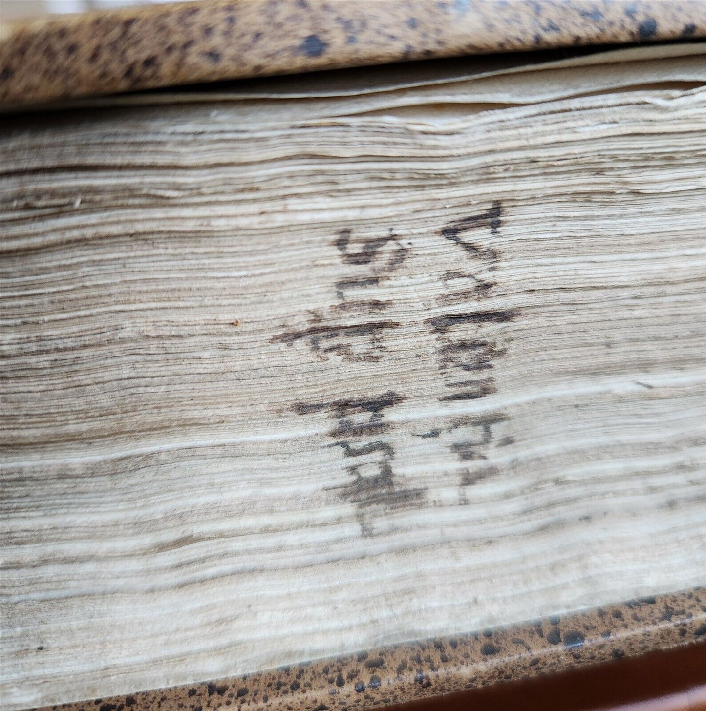 1533 POST-INCUNABULA EXPLANATION of PSALMS by Perez de Valentia antique FOLIO