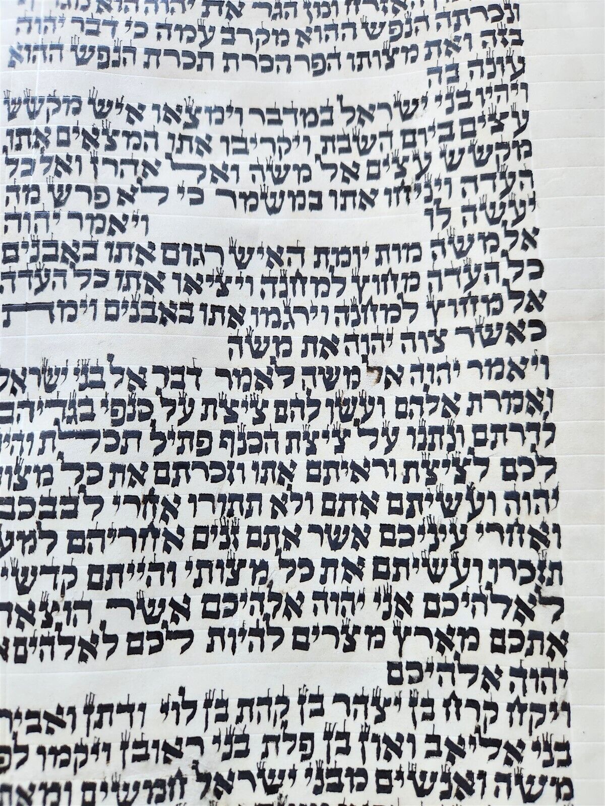 TORAH SCROLL FRAGMENT MANUSCRIPT on VELLUM antique BIBLE NUMBERS 14:45-16:25