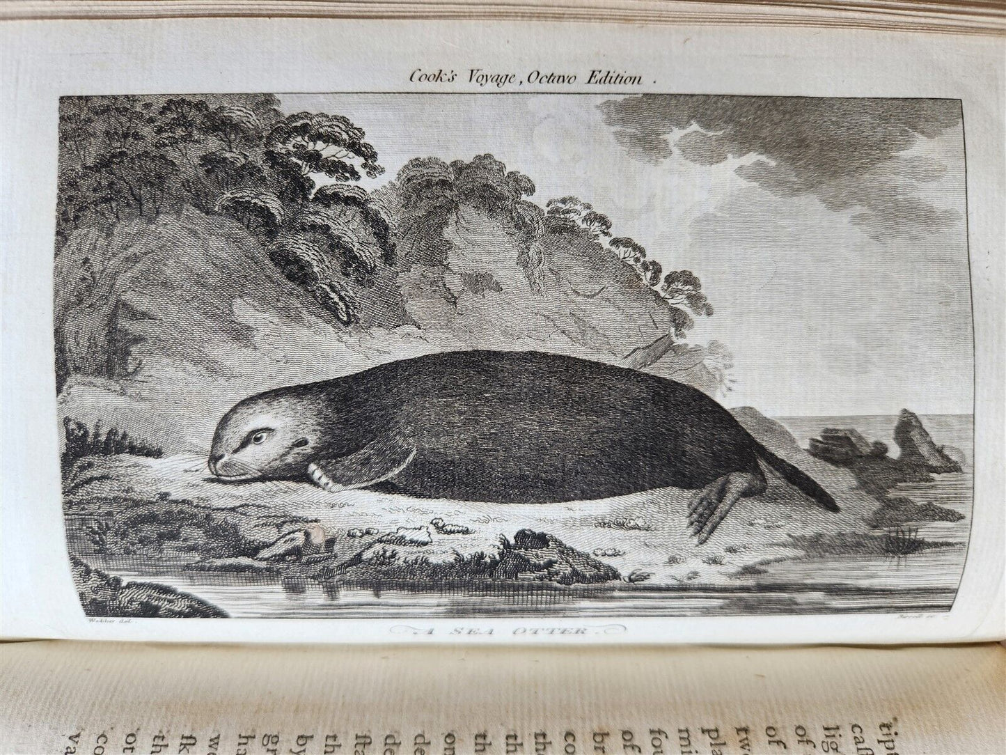 1784 VOYAGE of CAPTAIN COOK 4 vols ILLUSTRATED w/ 49 PLATES antique ENGLISH