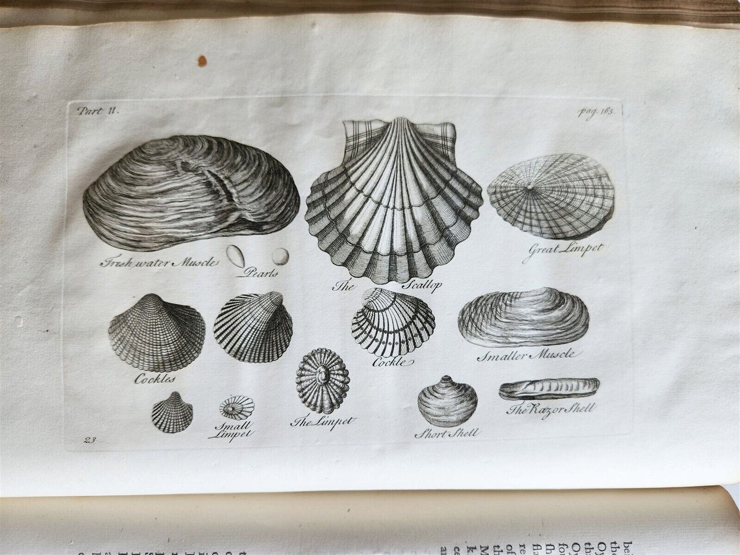 1755 NATURAL HISTORY of NORWAY ILLUSTRATED Pontoppidan antique FOLIO in ENGLISH