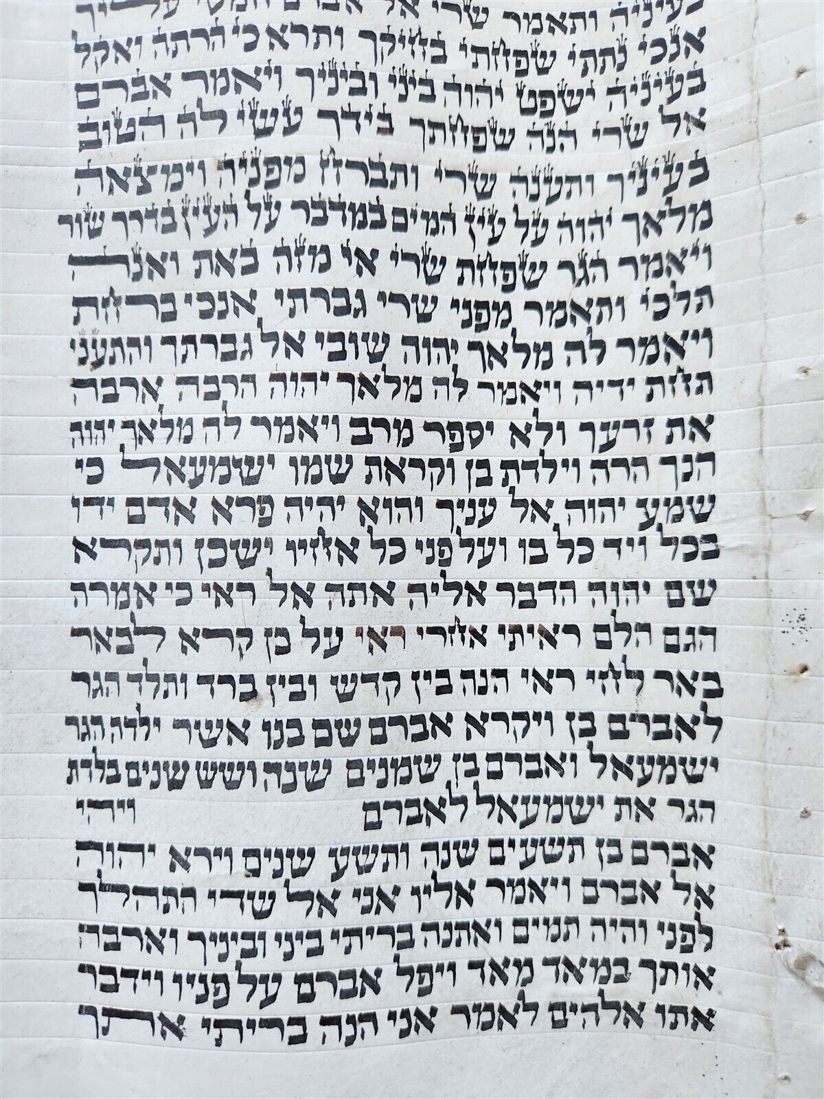 TORAH SCROLL FRAGMENT MANUSCRIPT on VELLUM antique BIBLE GENESIS 15:16-19:14