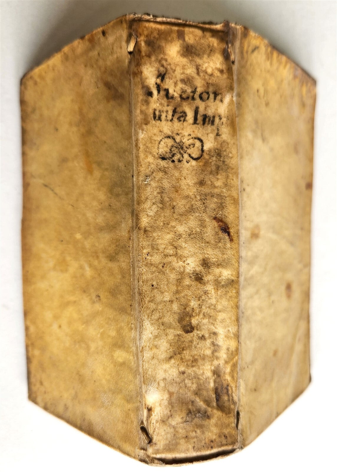 1714 CUM ANOTATION DIVERSORUM by SUETONIUS antique vellum bound