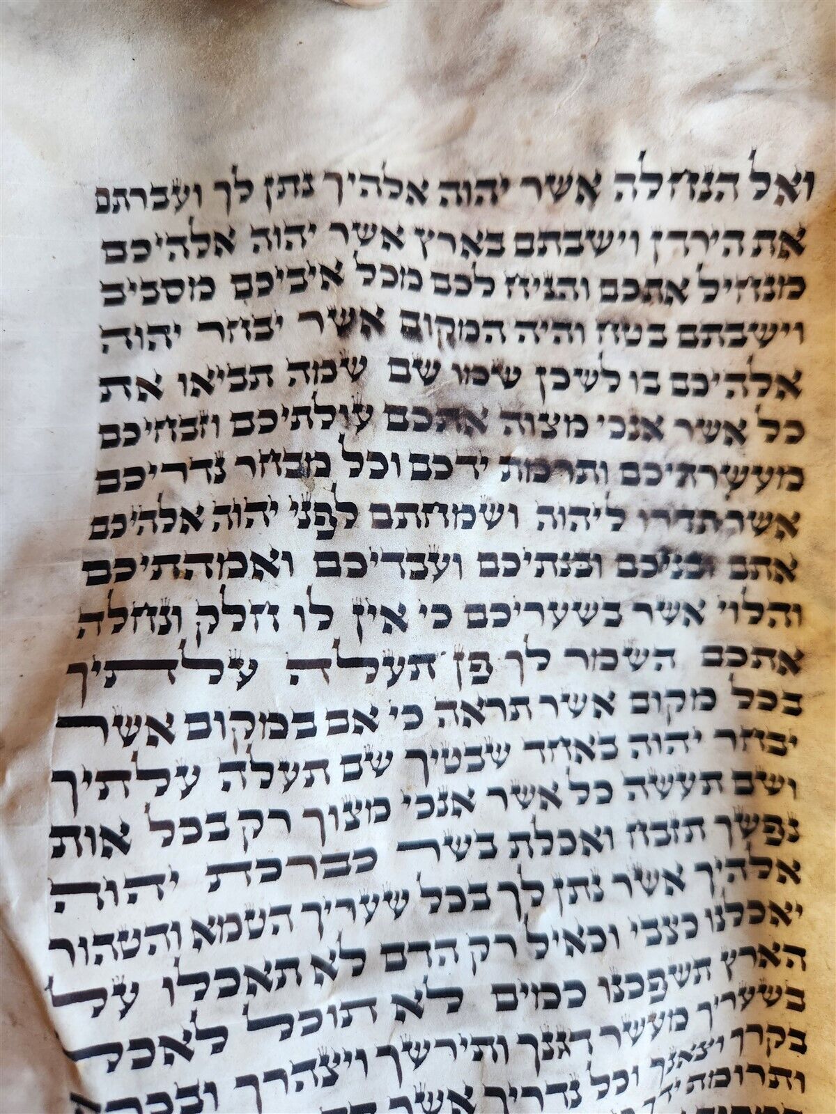 TORAH SCROLL FRAGMENT MANUSCRIPT on VELLUM antique BIBLE DEUTERONOMY 12:9-15:9