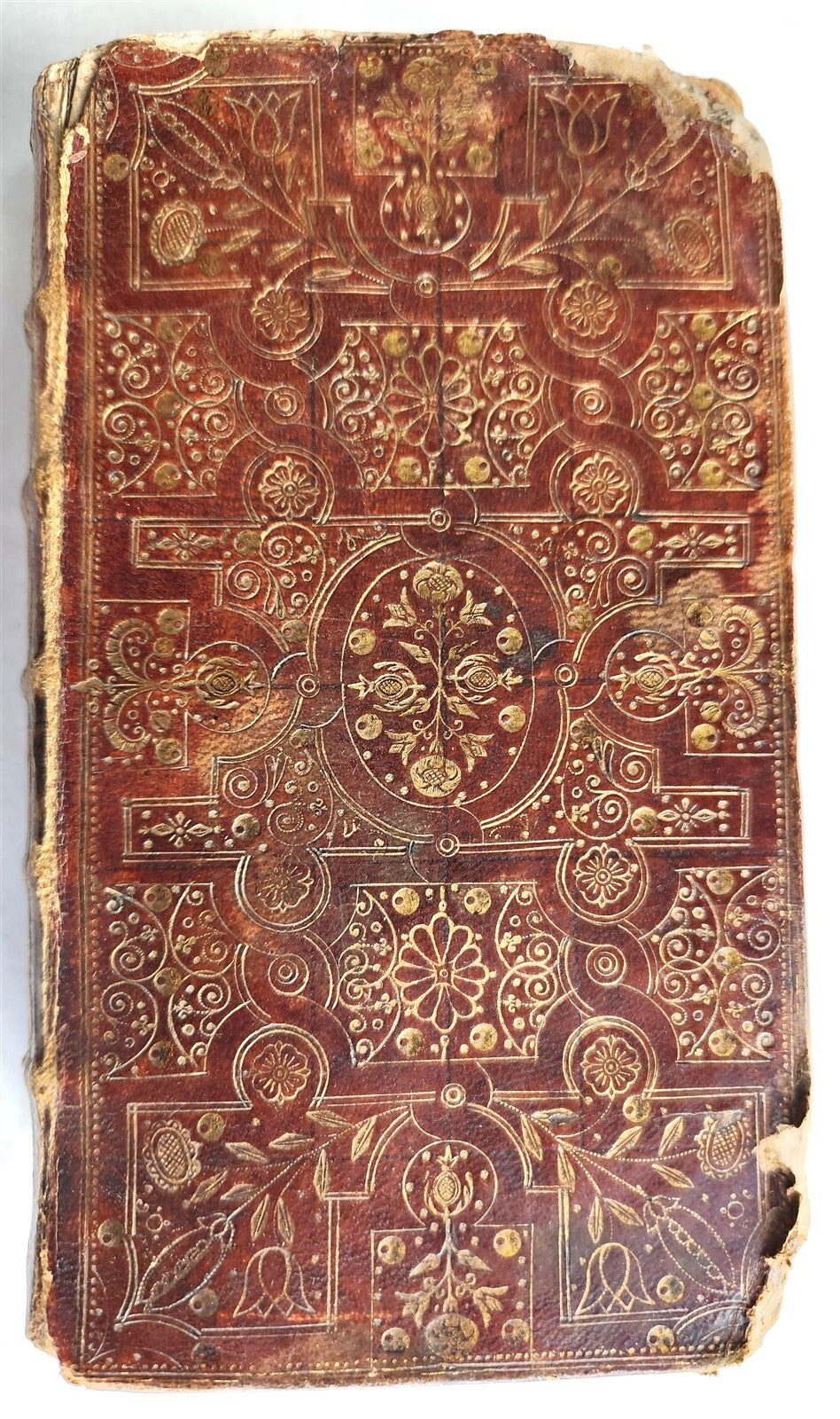 1681 BIBLE in ENGLISH antique FINBE ORIGINAL BINDING Old & New Testament