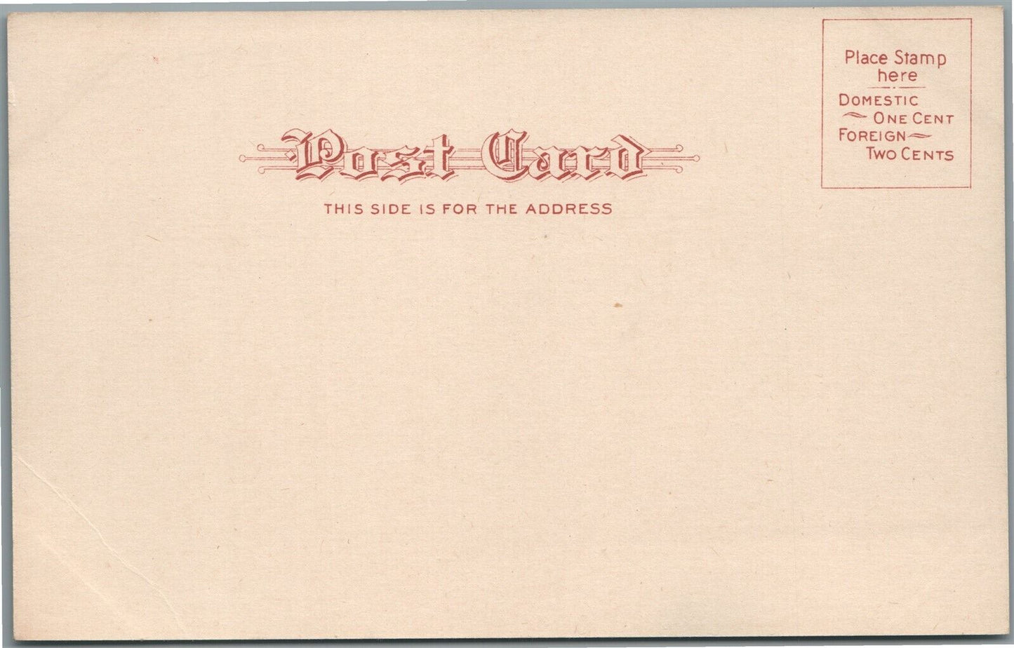 NEW YORK NY UNION TOWEL SUPPLY CO. MADISON SQUARE GARDEN SHOW ANTIQUE POSTCARD