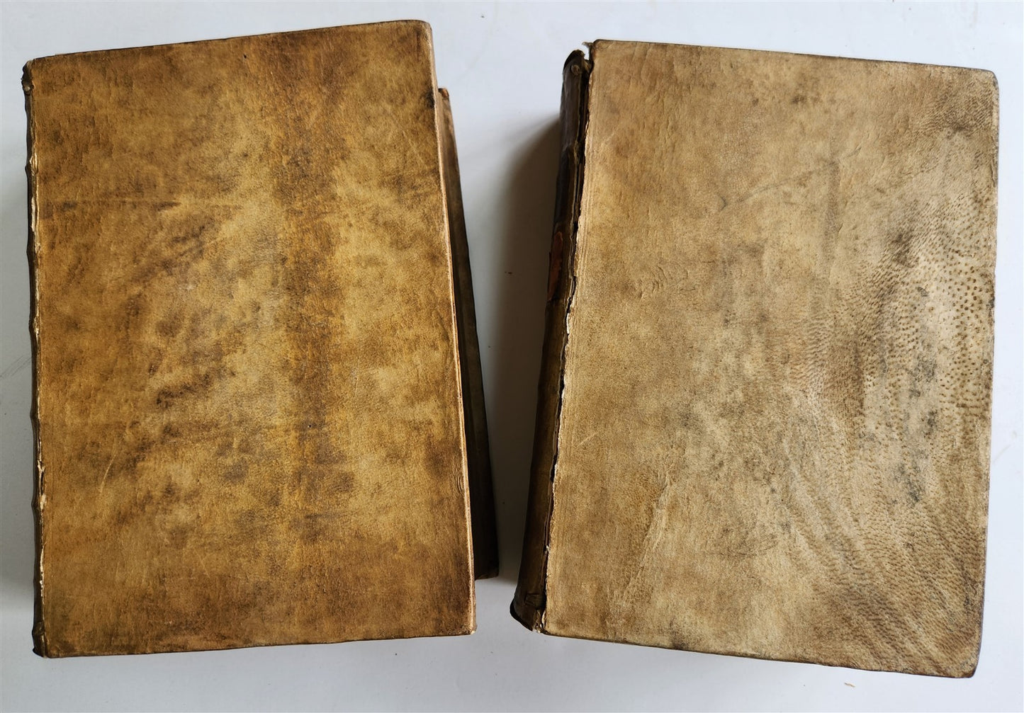 1589 HISTORY of ITALY by NATALE CONTI 2 VOLS antique VELLUM BOUND 16th CENTURY