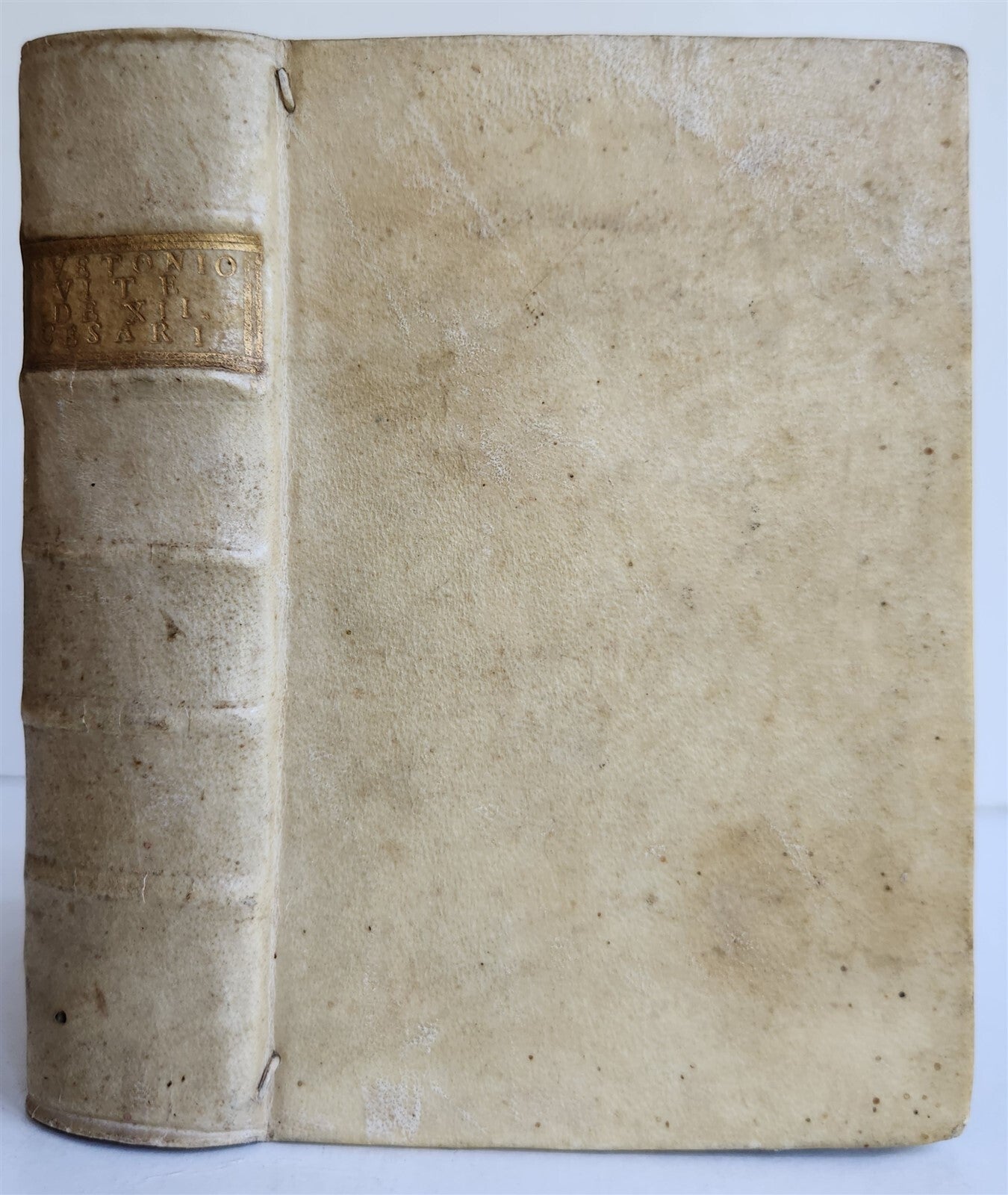 1554 LIFE of TWELVE CAESARS by SUETONIUS antique VELLUM BOUND ROMAN HISTORY