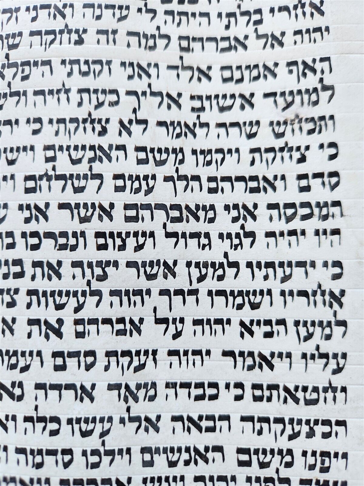 TORAH SCROLL FRAGMENT MANUSCRIPT on VELLUM antique BIBLE GENESIS 15:16-19:14