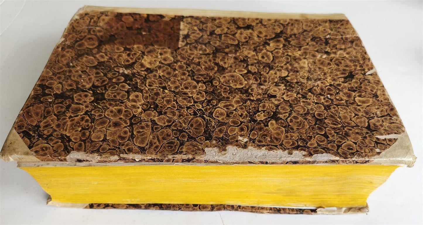 1517 POST-INCUNABULA ALBERTUS MAGNUS antique METAPHYSICA SCIENCE PHILOSOPHY