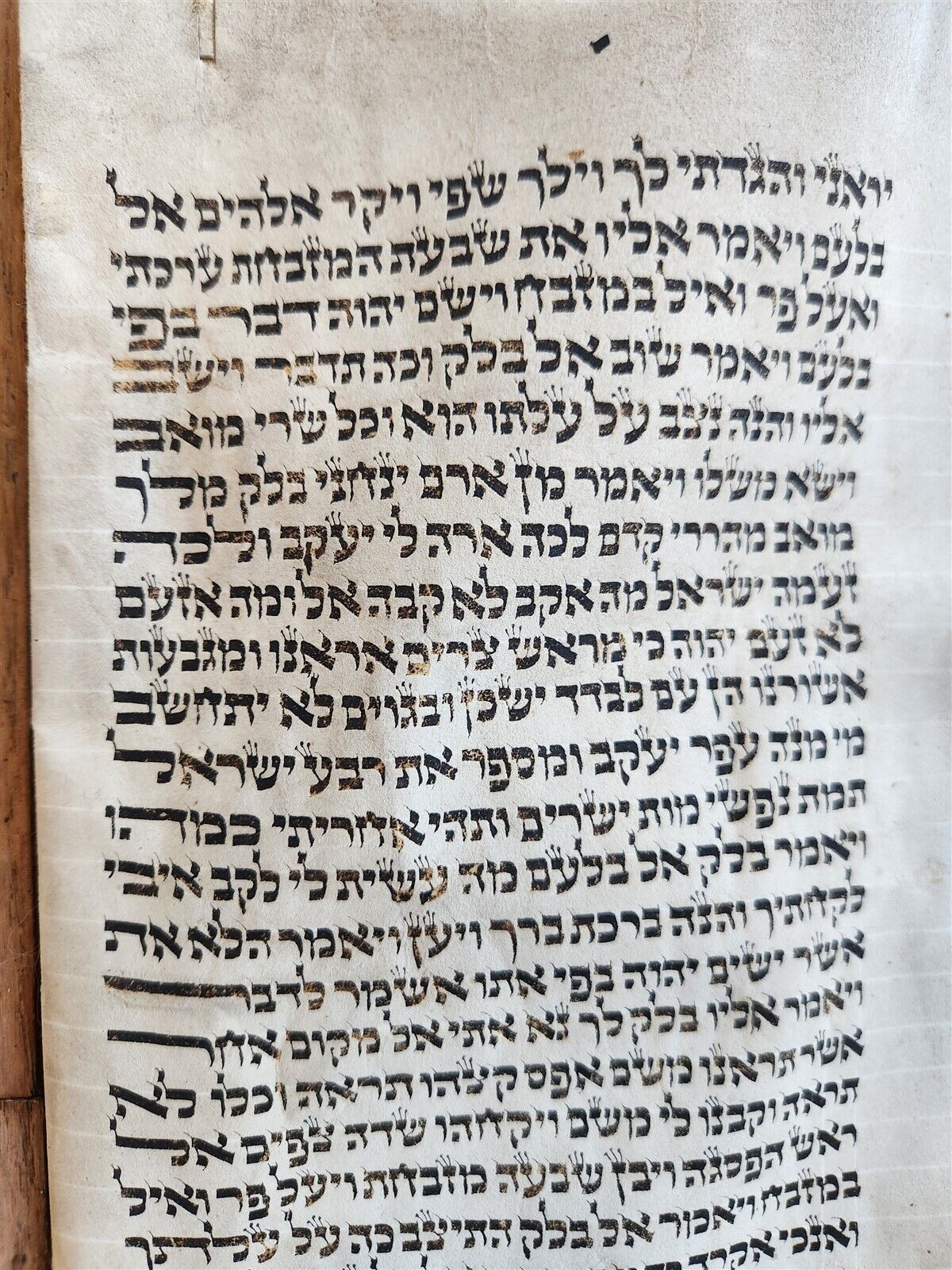 TORAH SCROLL FRAGMENT MANUSCRIPT on VELLUM antique BIBLE BOOK OF NUMBERS 21x42"
