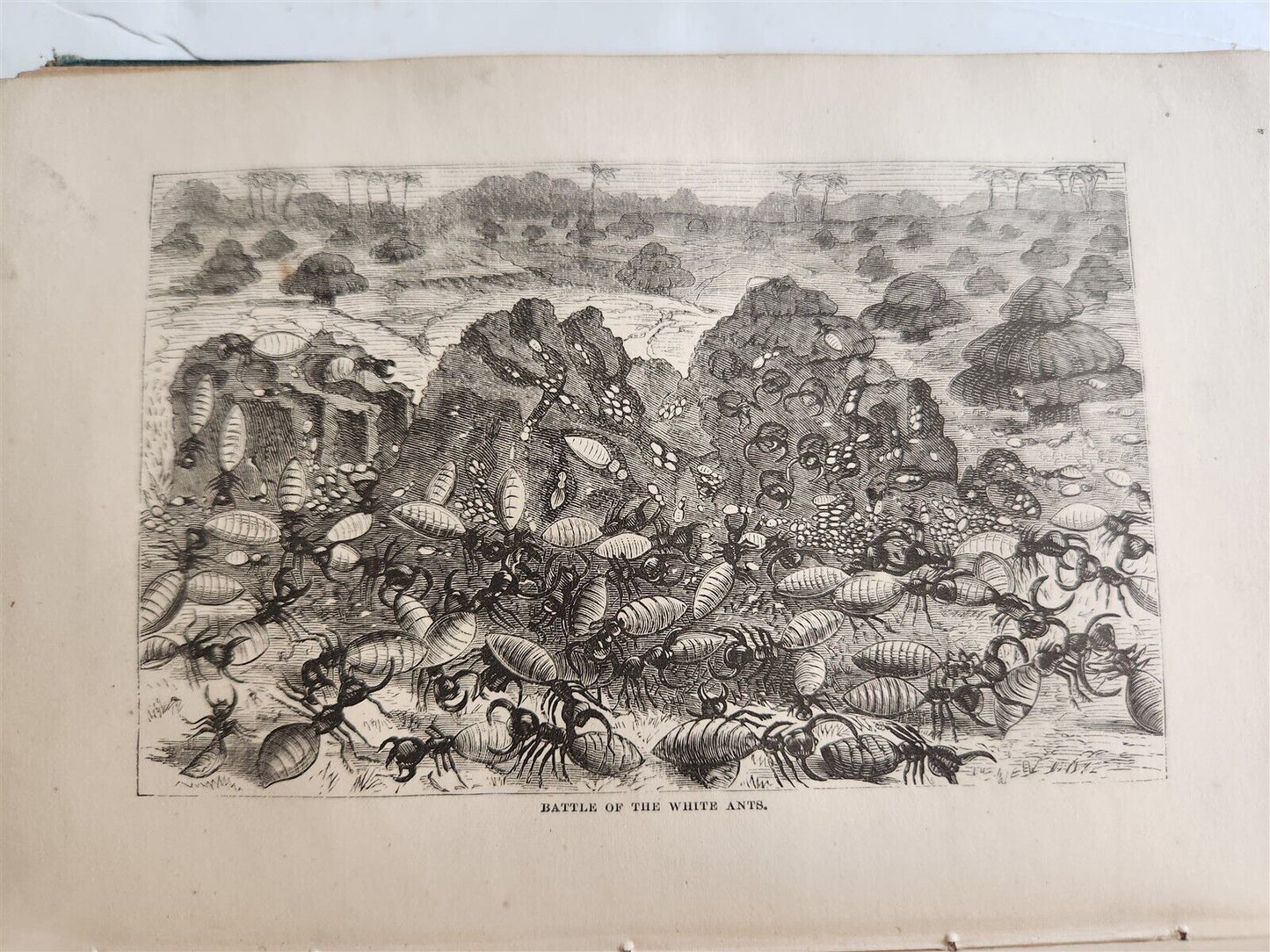 1871 MY APINGI KINGDOM LIFE in GREAT SAHARA PAUL DU CHAILLU antique ILLUSTRATED