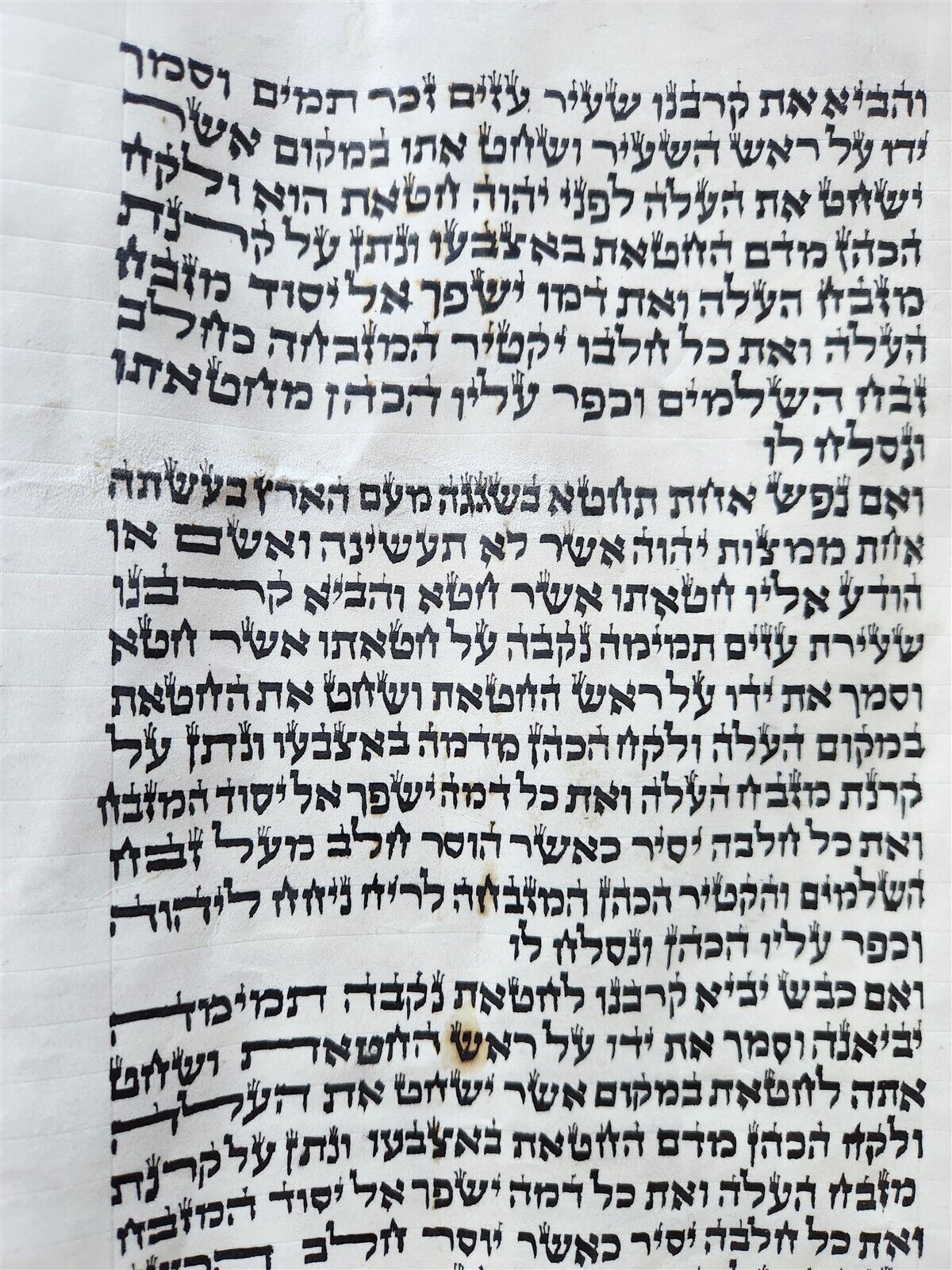 TORAH SCROLL FRAGMENT MANUSCRIPT on VELLUM antique BIBLE LEVITICUS 4:23-6:3