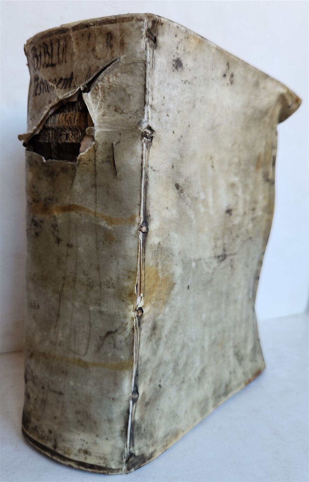 1585 BIBLE in LATIN printed in LONDON antique VELLUM 16th CENTURY NEW TESTAMENT