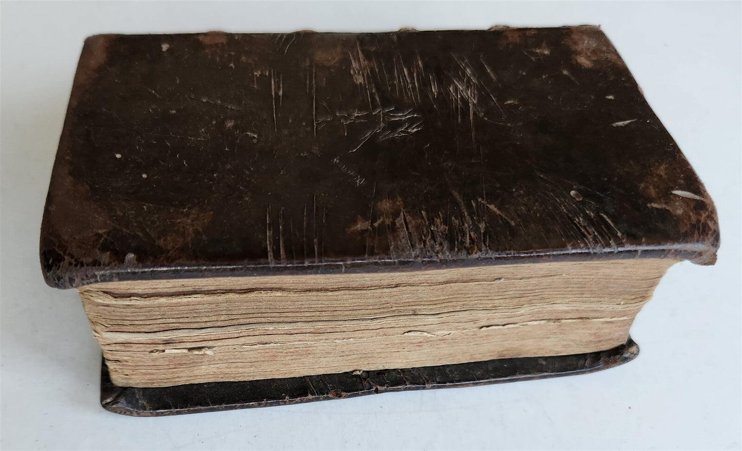 1724 ILLUSTRATED POLITICAL NOVEL antique Joannis Barclaii Argenis