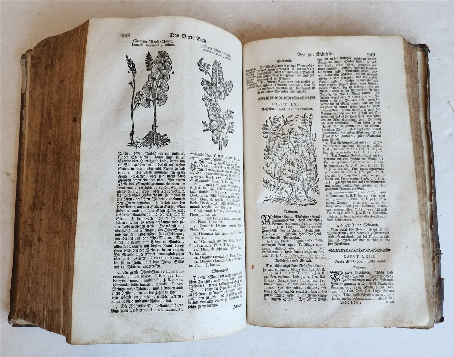 1744 THEATRUM BOTANICUM ILLUSTRATED GERMAN HERBAL antique PIGSKIN BOUND FOLIO