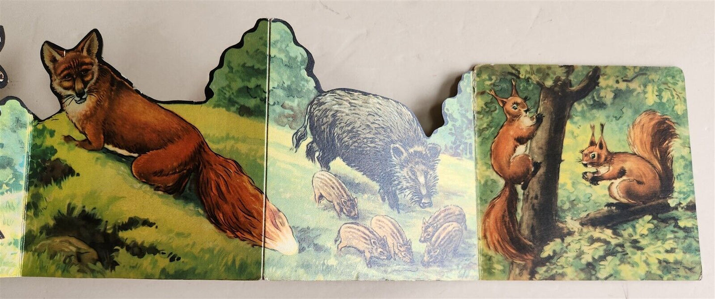 1950s antique ILLUSTRATED CHILDREN BOOK tiere der heimat ANIMALS of the HOMELAND