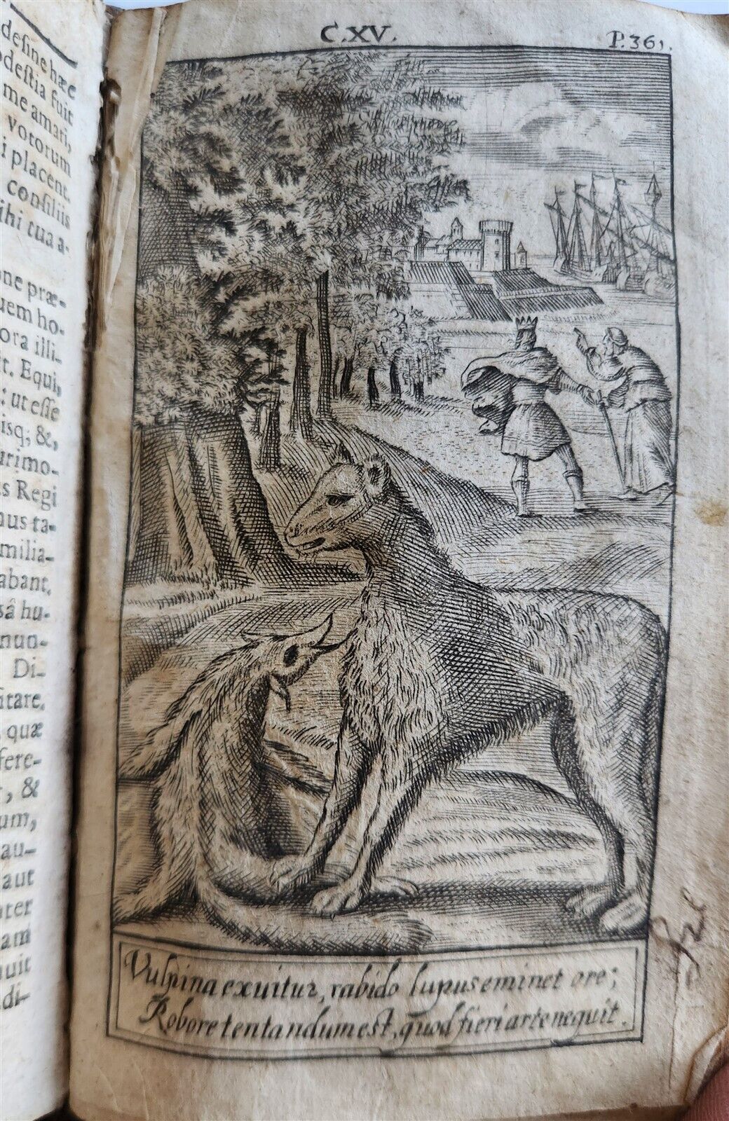 1724 ILLUSTRATED POLITICAL NOVEL antique Joannis Barclaii Argenis