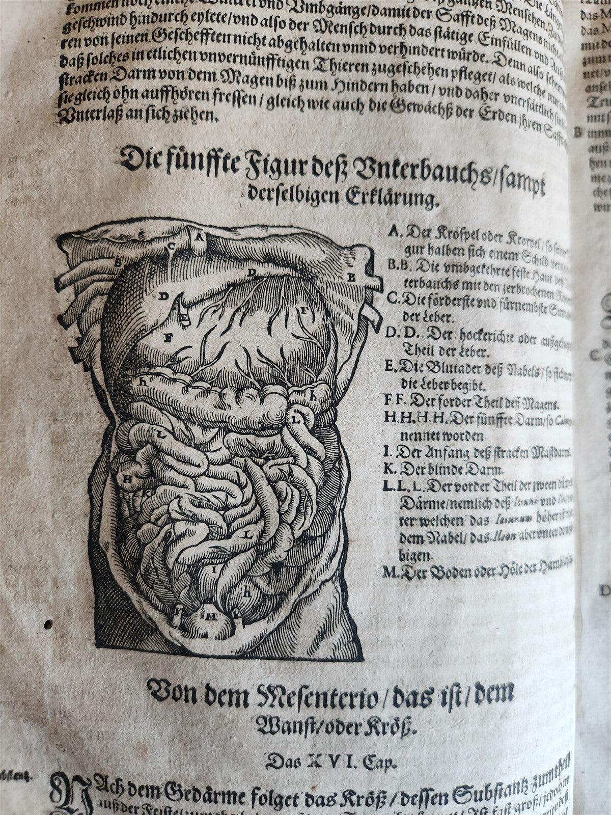1601 WOUND MEDICINE antique ILLUSTRATED WundArtzney oder Artzney spiegell FOLIO