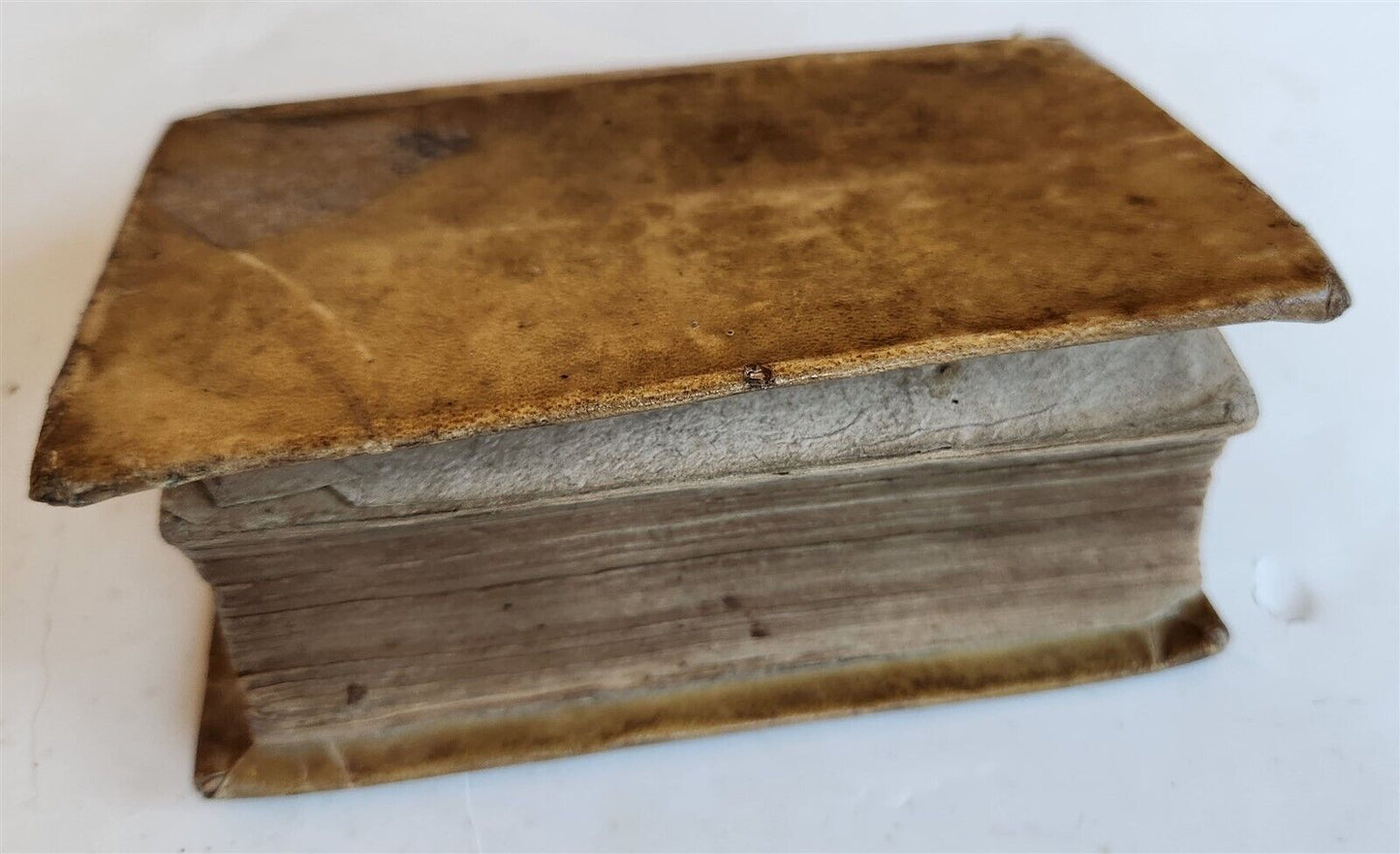 1558 BIBLE IN LATIN ILLUSTRATED antique 16th CENTURY vellum bound NEW TESTAMENT