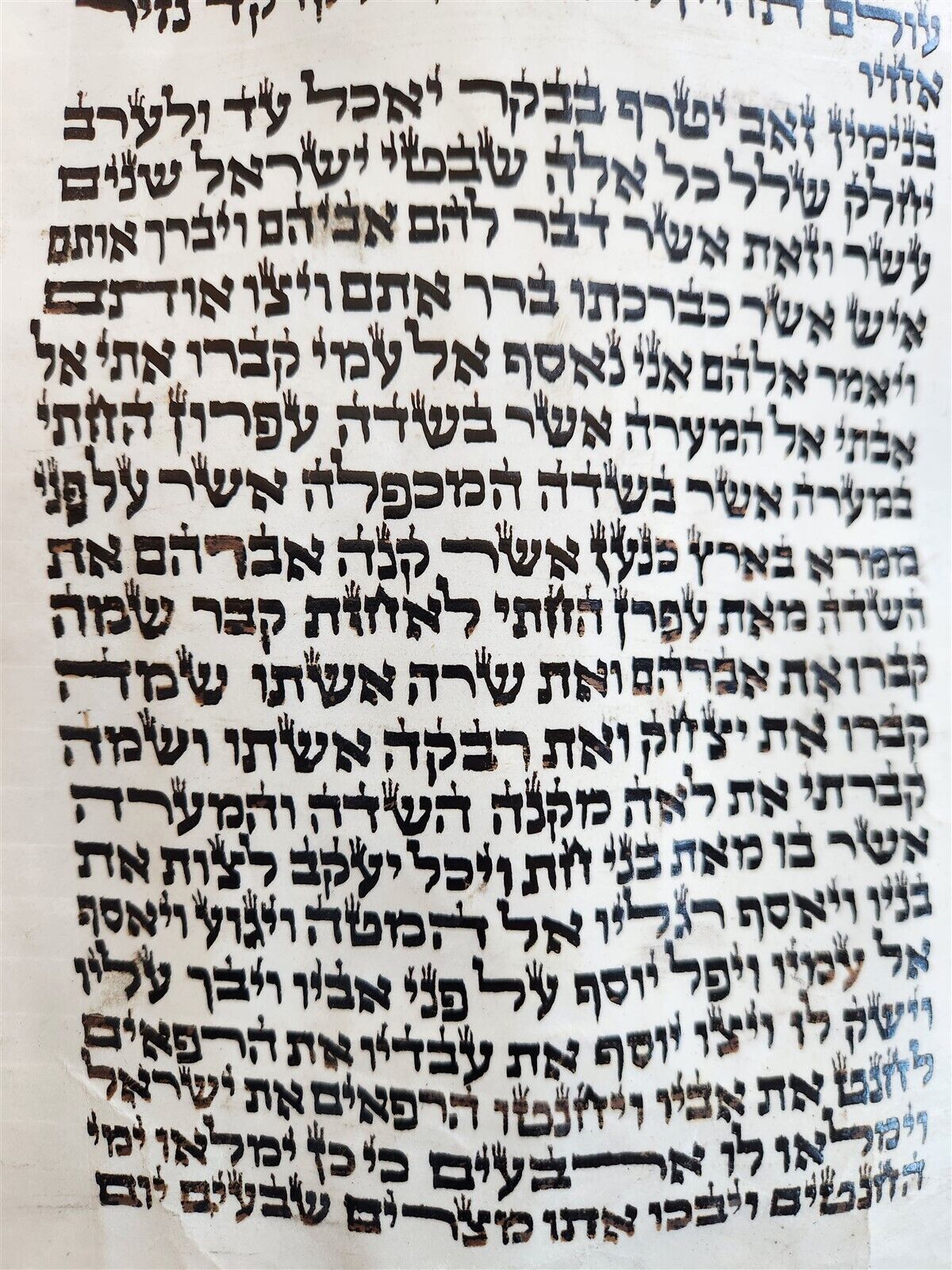 TORAH SCROLL FRAGMENT MANUSCRIPT on VELLUM antique BIBLE GENESIS 48:6 Exodus 3:7