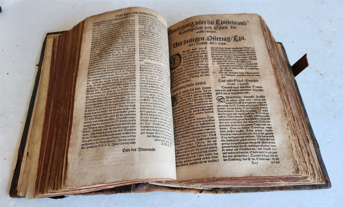 1583 ILLUSTRATED POSTILLA antique 80 WOODCUTS CRANACH SCHOOL ARTIST