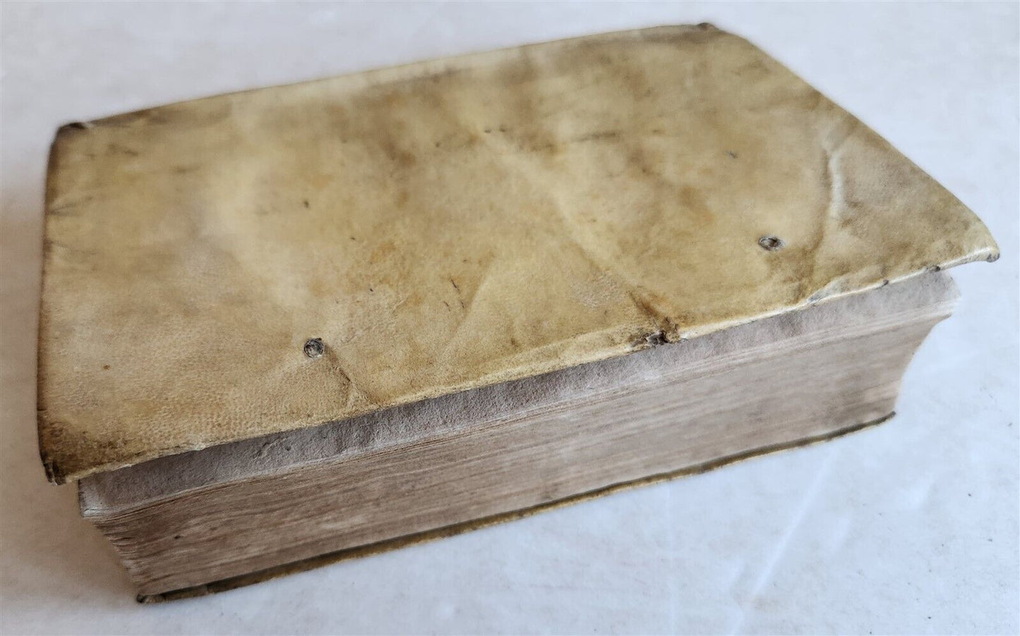 1595 FRANCISCI VALLESII Biblical natural history antique 16th CENTURY vellum