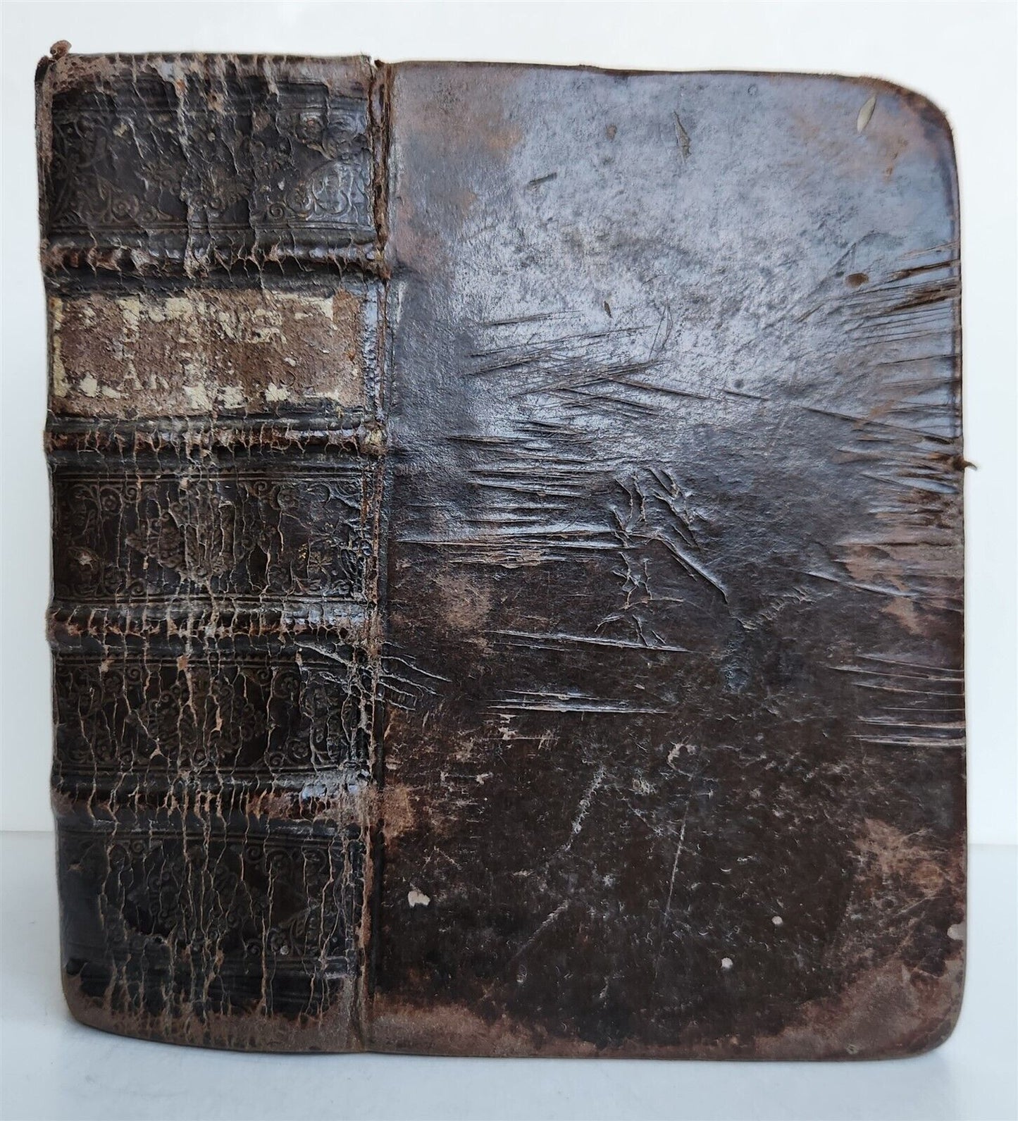 1724 ILLUSTRATED POLITICAL NOVEL antique Joannis Barclaii Argenis