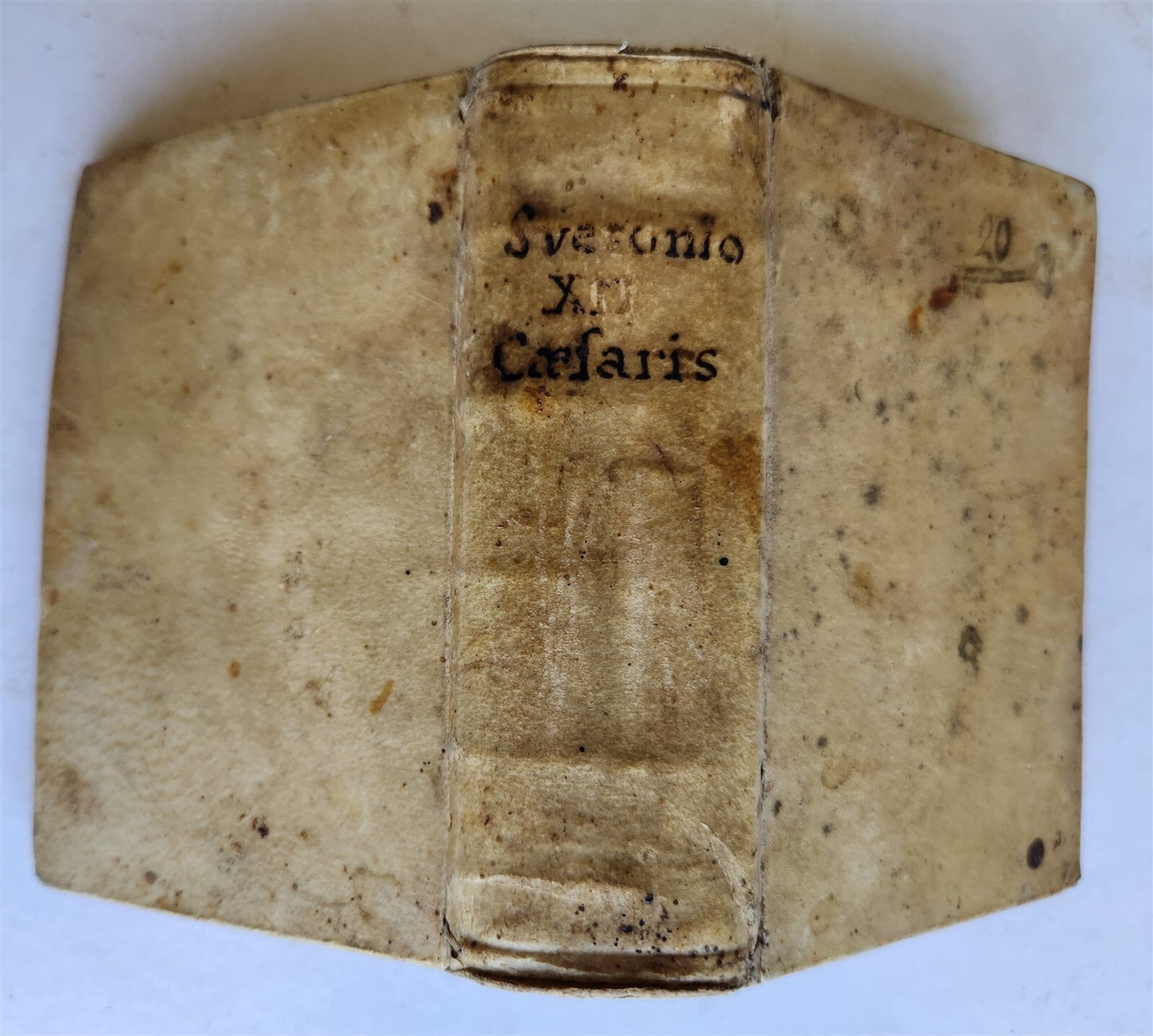 1576 TWELVE CAESARS by SUETONIUS antique VELLUM BOUND ROMAN HISTORY