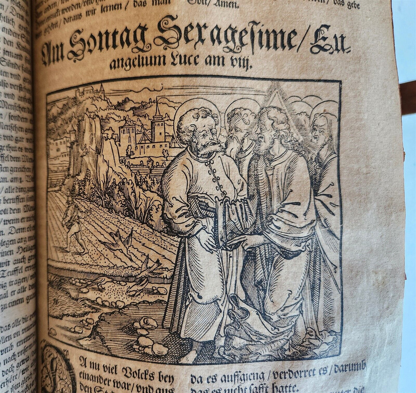 1583 ILLUSTRATED POSTILLA antique 80 WOODCUTS CRANACH SCHOOL ARTIST