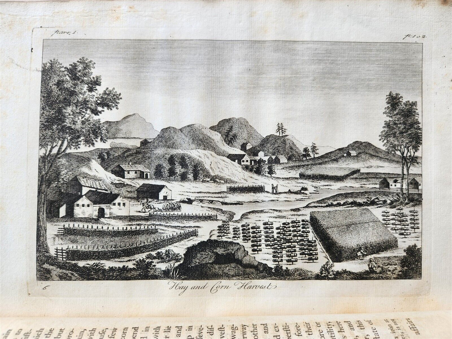 1755 NATURAL HISTORY of NORWAY ILLUSTRATED Pontoppidan antique FOLIO in ENGLISH