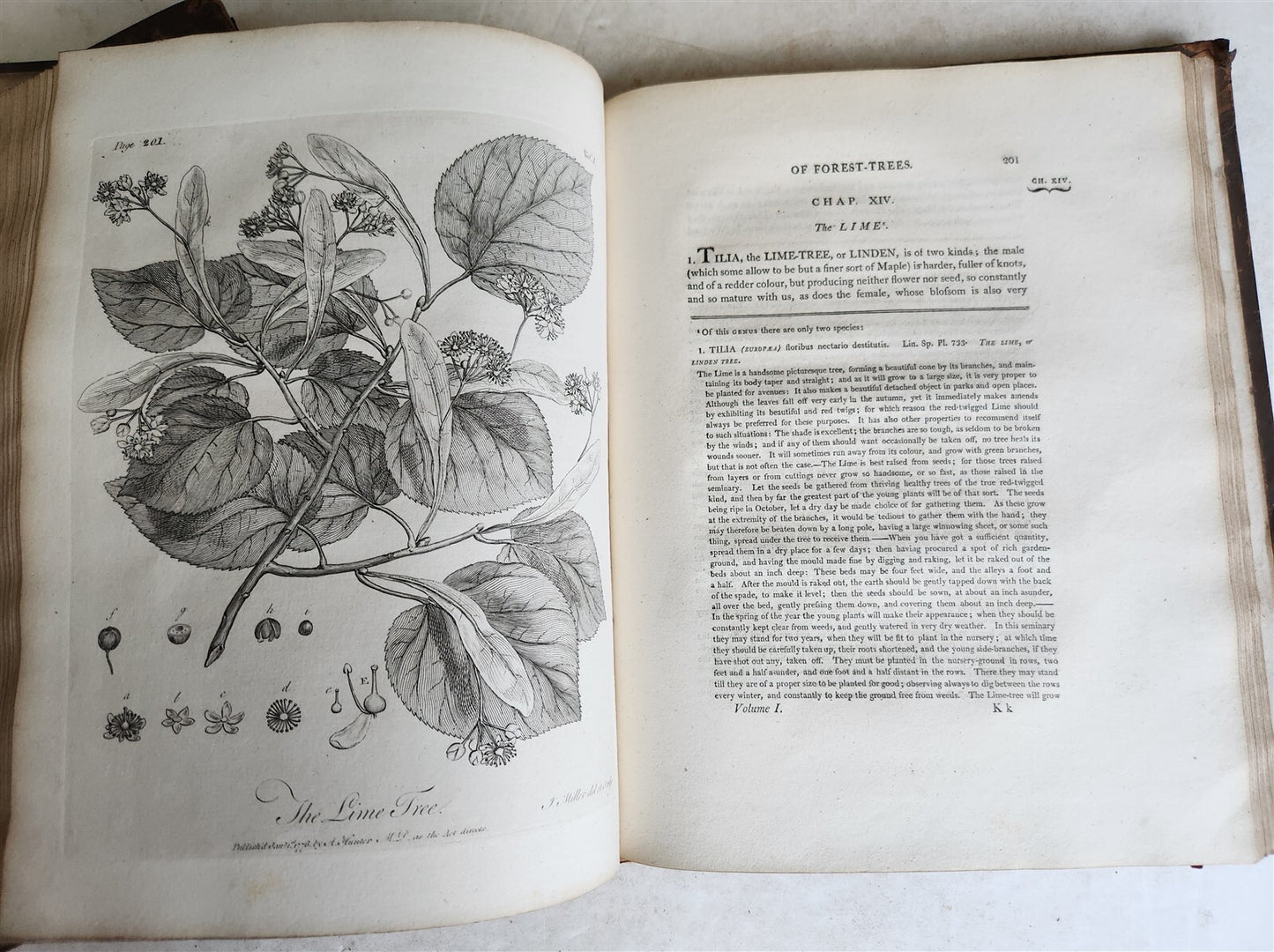 1801 SILVA: DISCOURSE OF FOREST TREES 2 VOLUMES ILLUSTRATED antique in ENGLISH