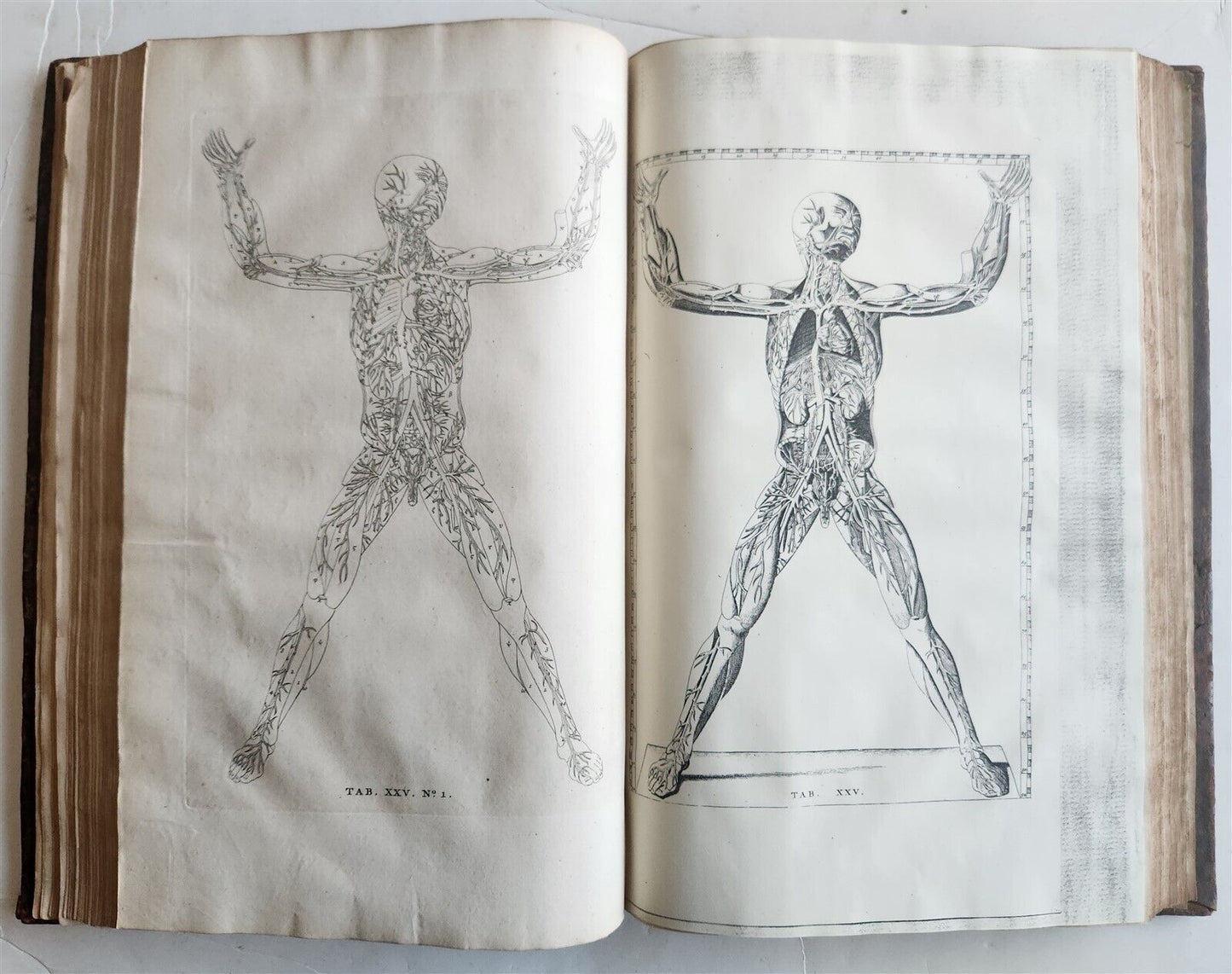 1744 ILLUSTRATED ANATOMY antique FOLIO Explicatio tabularum anatomicarum ALBINUS