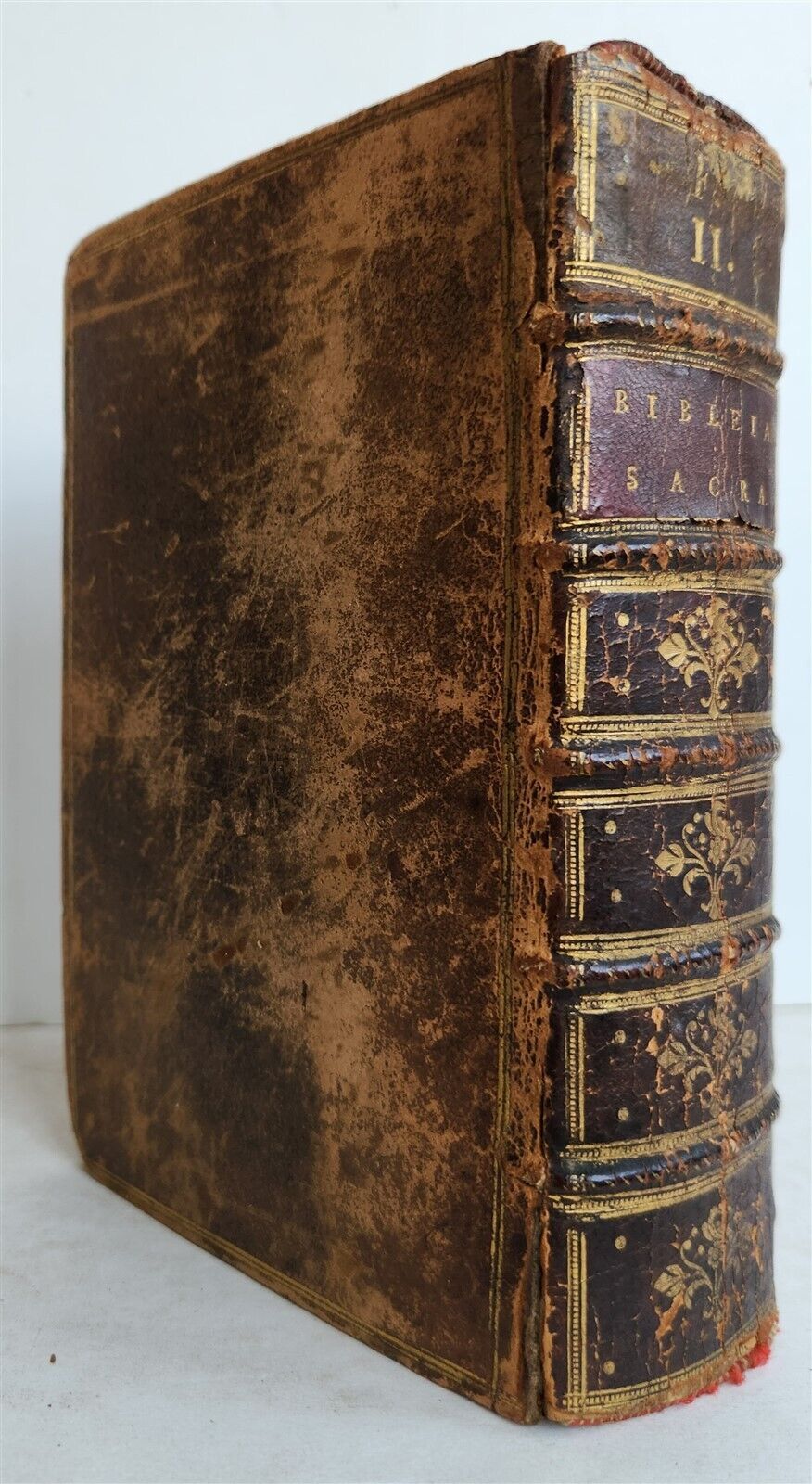 1573 BIBLE in LATIN antique FULLY ILLUSTRATED Old & New Testament