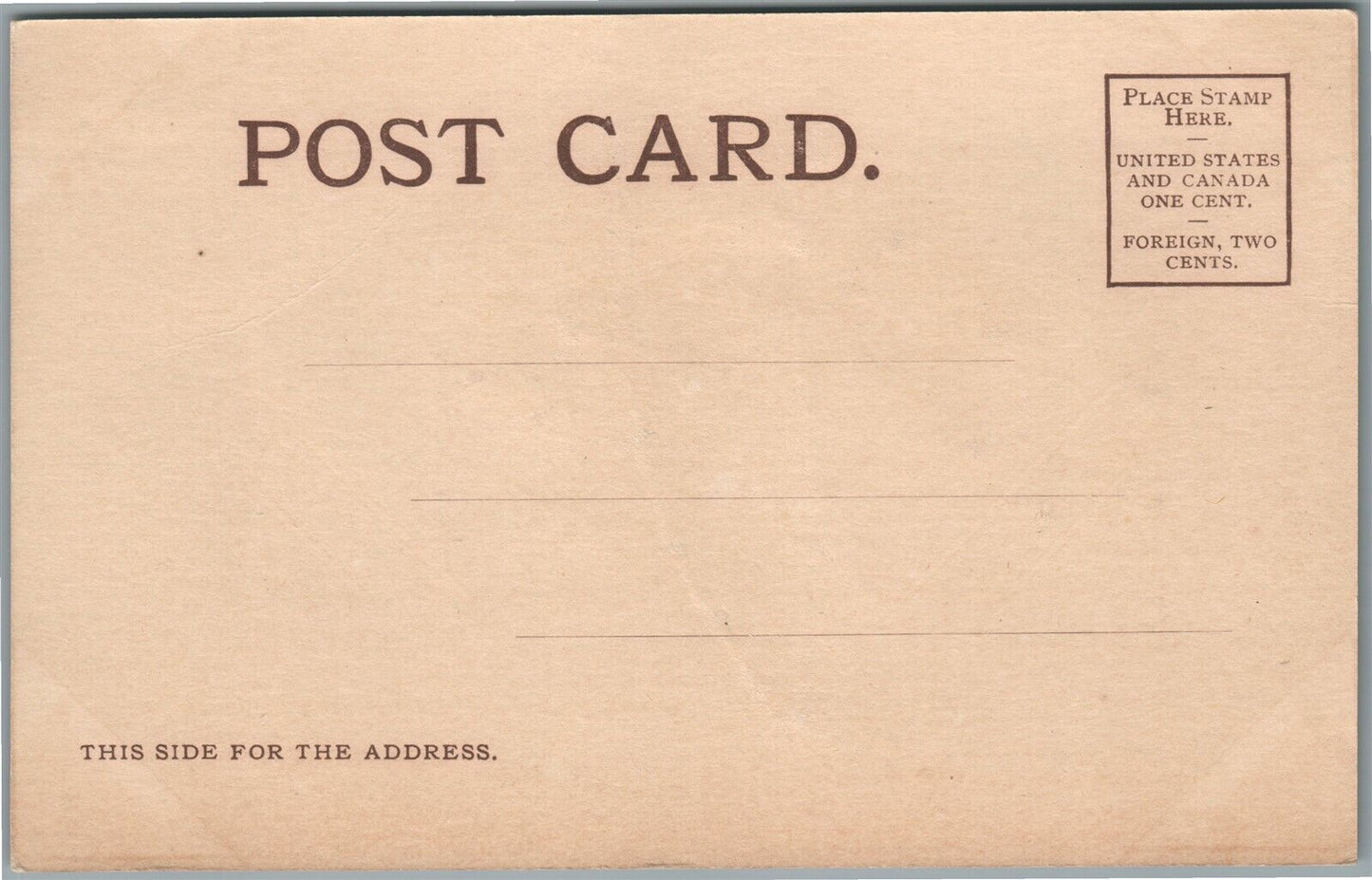 CHICAGO IL STOPS THE DANDRUF USTIN MFR ADVERTISING ANTIQUE POSTCARD